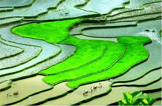 Sapa Tours Sapa Tours